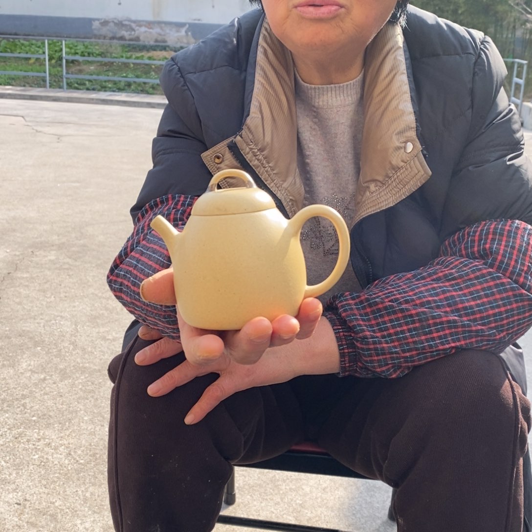 紫砂茶壶宜兴紫砂工艺美术精品