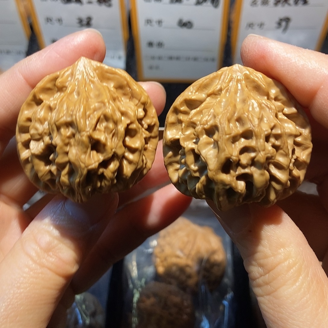 身***般大叶紫檀（黑酸枝木类）
