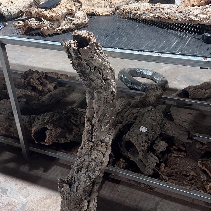 C***C完全开放一物一拍一物一发