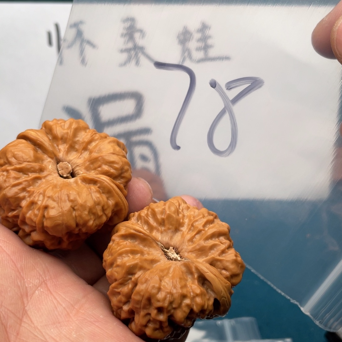 核桃手串/手链W;694686484686648