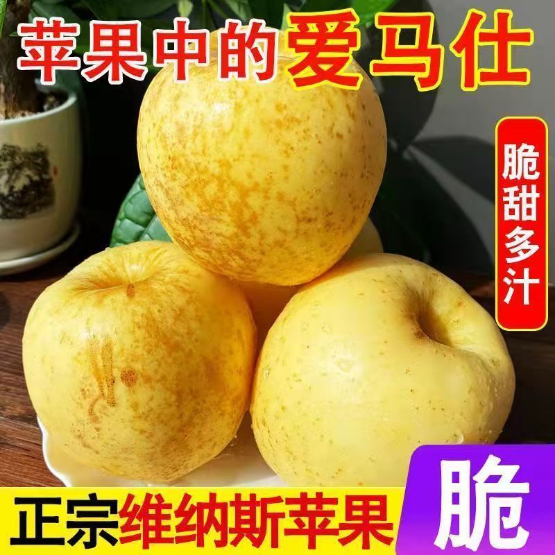 山东维纳斯苹果糖炸有绣苹果纯甜多汁黄金苹果新鲜苹果山东省