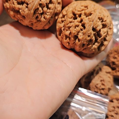 文玩核桃吊坠48粗筋