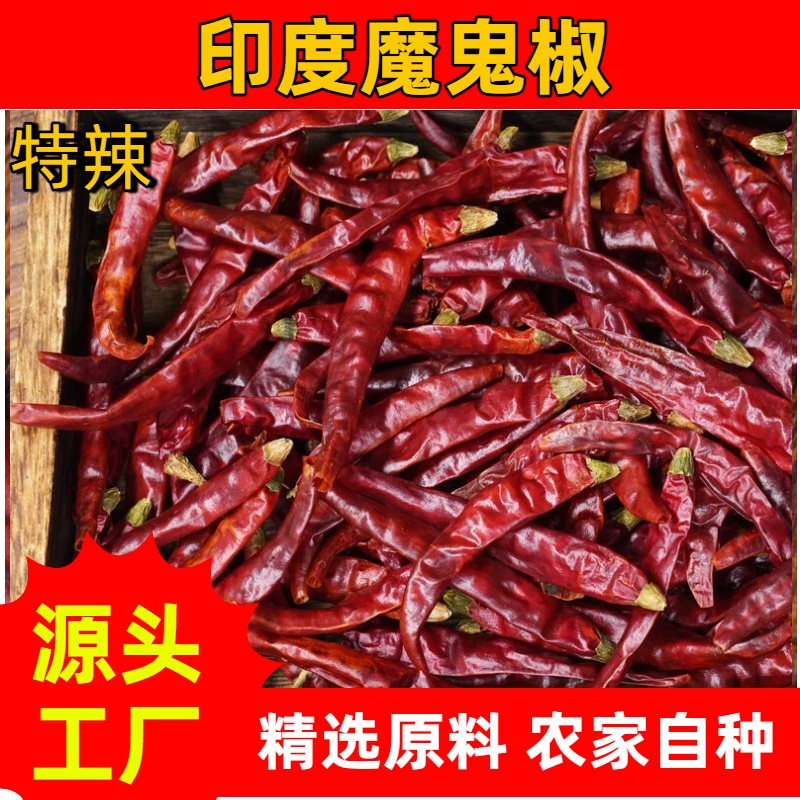 贵州印度魔鬼椒干辣椒源头工厂生产自然生长辣味十足香气浓郁