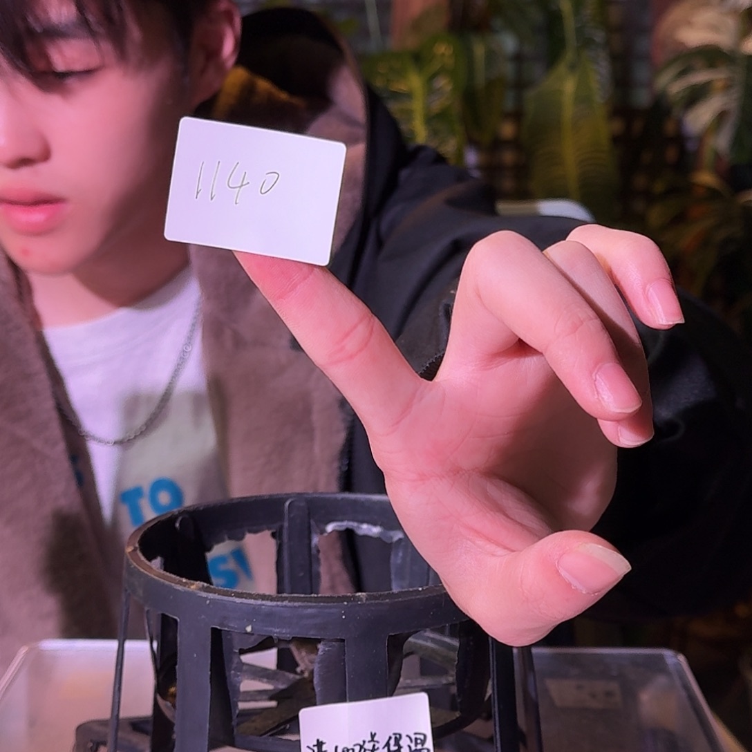 谢***d不开花植物G805G806白龟➕银脉