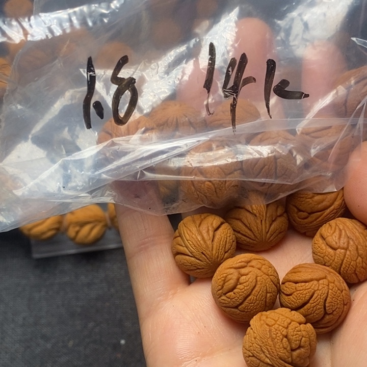 桃核吊坠秦岭山野生桃核