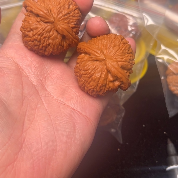 核桃白狮子，45已打底