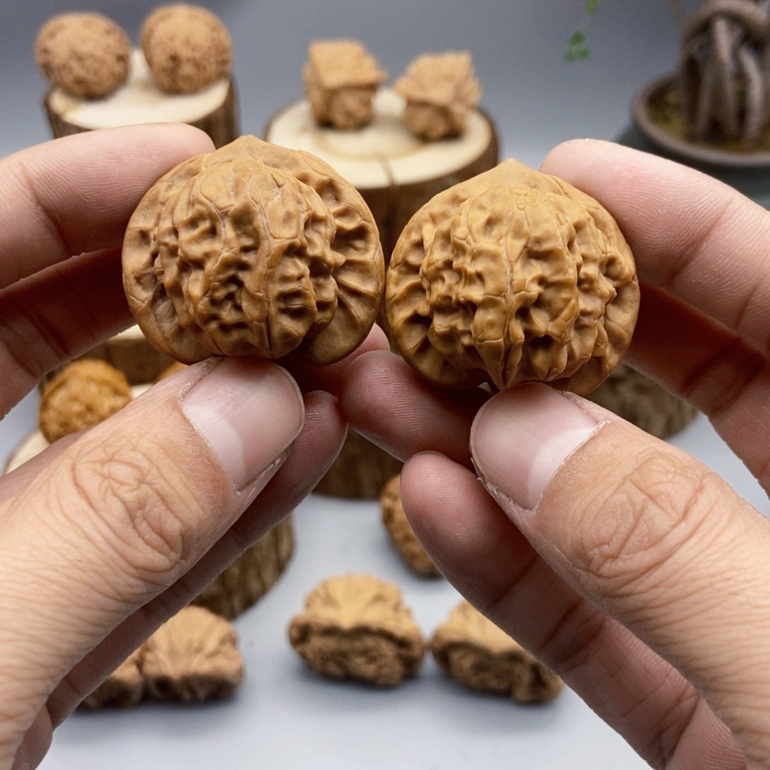 34尺寸大耳朵图图全品