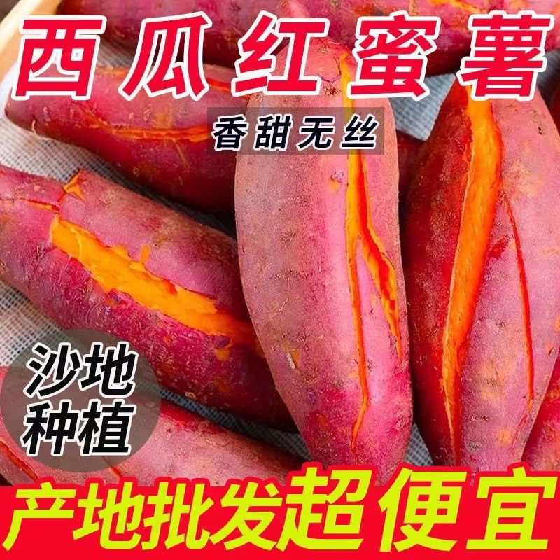 西瓜红蜜薯现挖先发蜜薯小番薯新鲜红薯沙地农家地瓜烧烤薯山芋