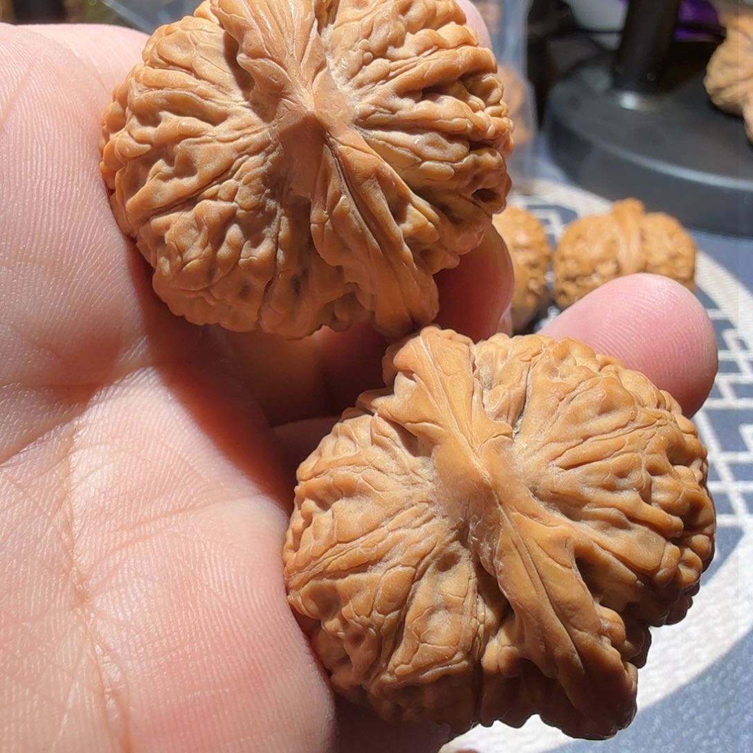 文玩核桃把件莲花