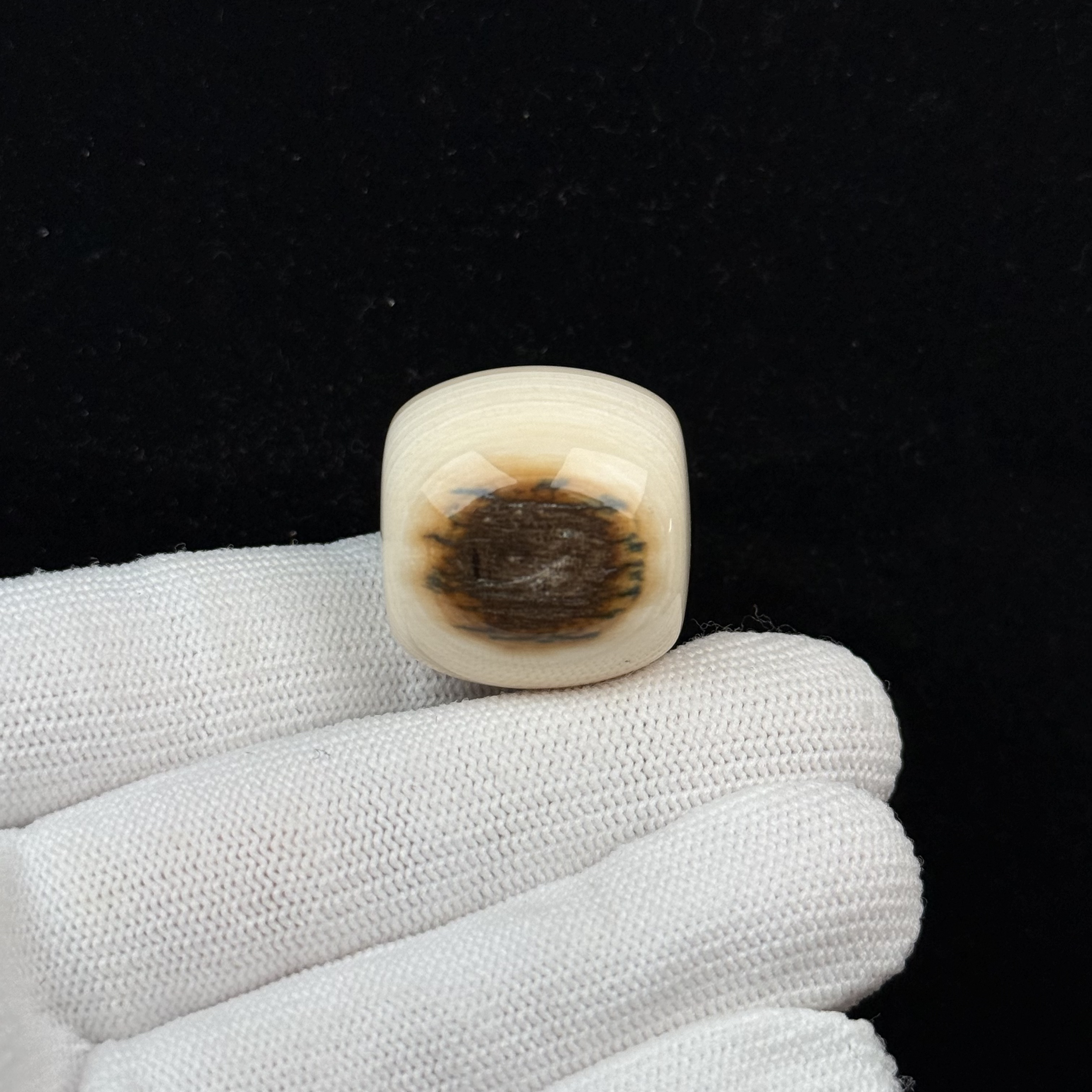 D66-87天然猛犸牙 黄金瞳墩子25*23.9mm支持复检假一罚十