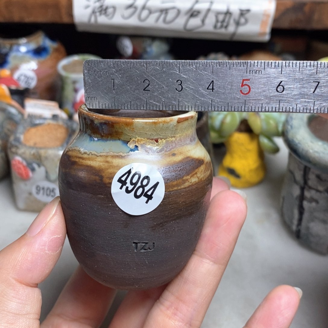 拍5送一个小礼物