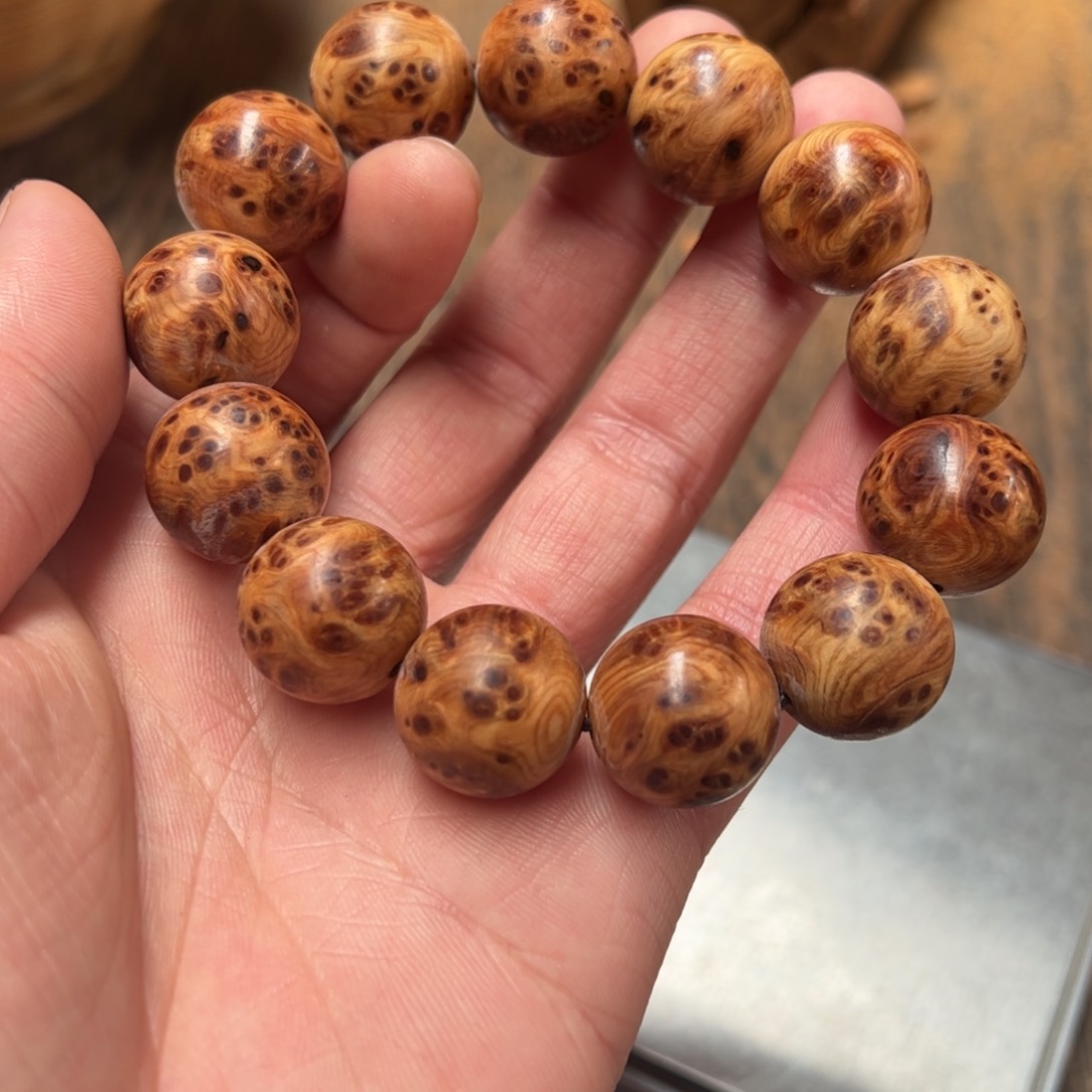 太行崖柏陈化太行