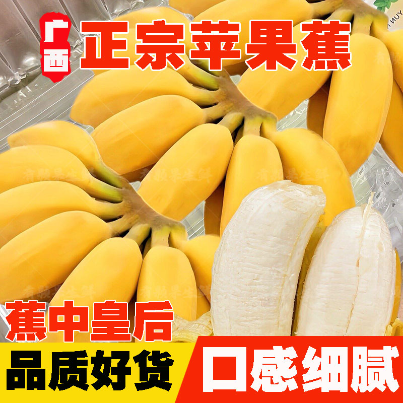 【正宗苹果蕉】5/9斤大果广西当季新鲜孕妇水果香甜糯粉蕉非小米蕉