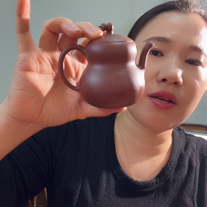 茶壶紫砂紫泥富禄180cc