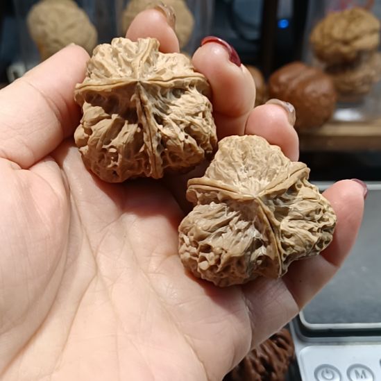 文玩核桃把件666666666666