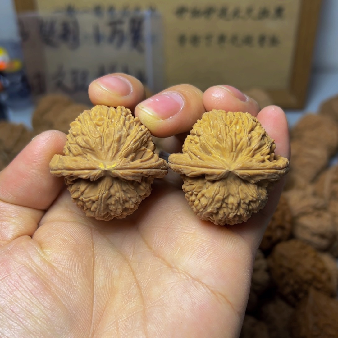 文玩核桃手把件41白狮子有黄