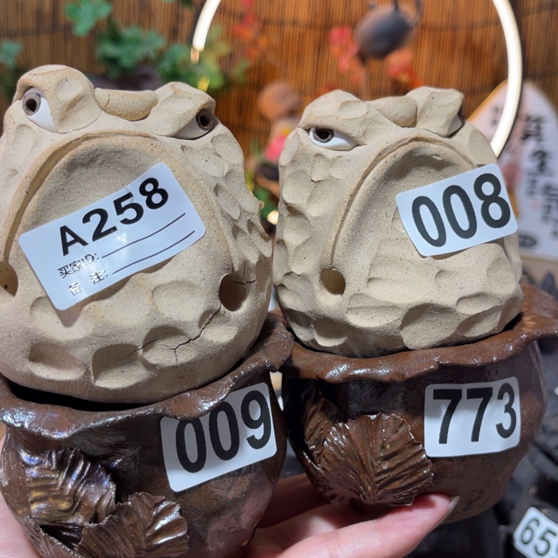 木村信弘柴烧保平