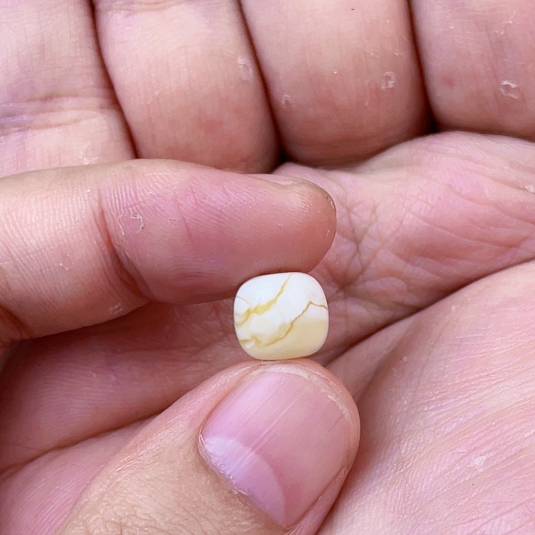 琥珀珠宝奇石未镶嵌y*x