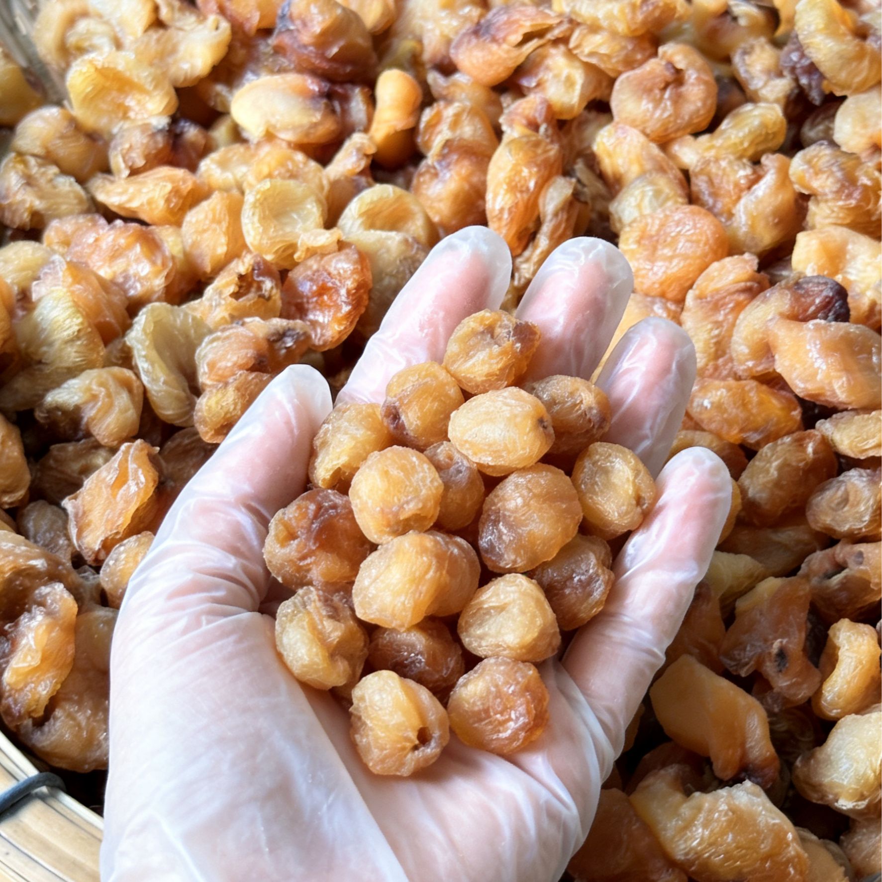 惠惠【2025年新货】桂圆肉干龙眼无核桂圆肉正宗特产古法肉厚软糯