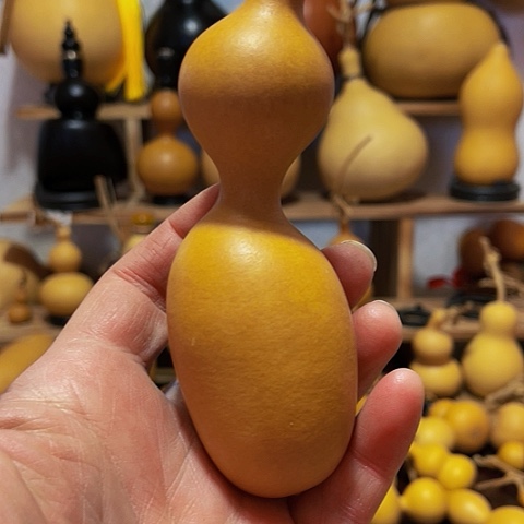 精品厚皮蚂蚁葫芦