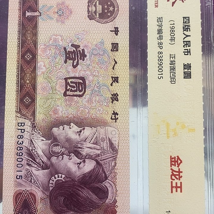 留***月5-95418471.....................