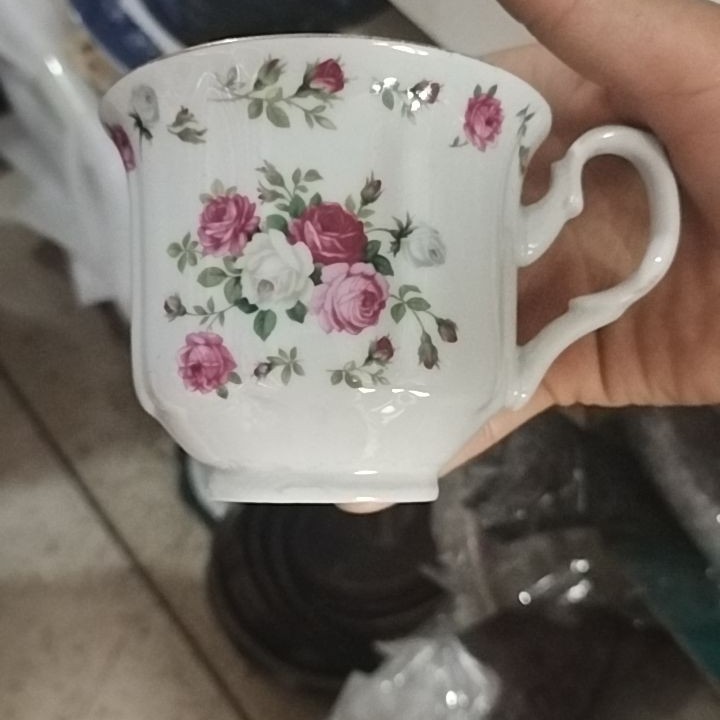 阿尔伯特系列杯！！！！！！！