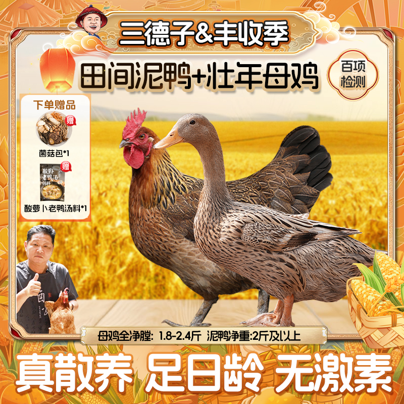 三德子【鸡鸭组合】壮年母鸡+田间泥鸭生态散养煲汤农家散养土鸡