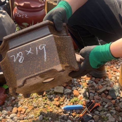 紫砂花盆紫砂花盆盆景盆栽