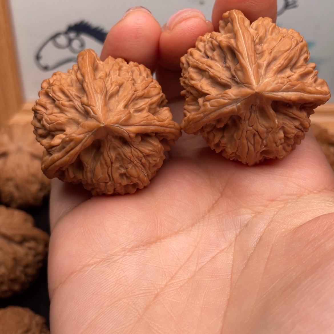 【闪购商品】文玩核桃把件北38全品文山