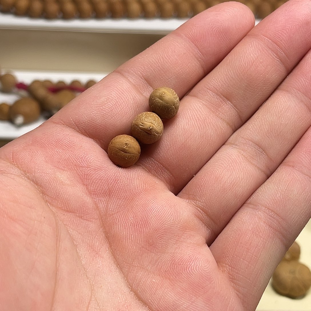 凤眼菩提吊坠天*3颗9.6mm凤眼菩提