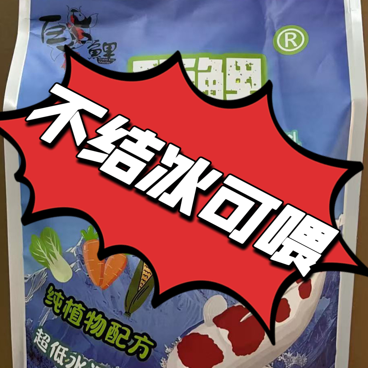 巨鲤大师冬季胚芽超低水温果蔬锦鲤饲料纯植物配方易消化