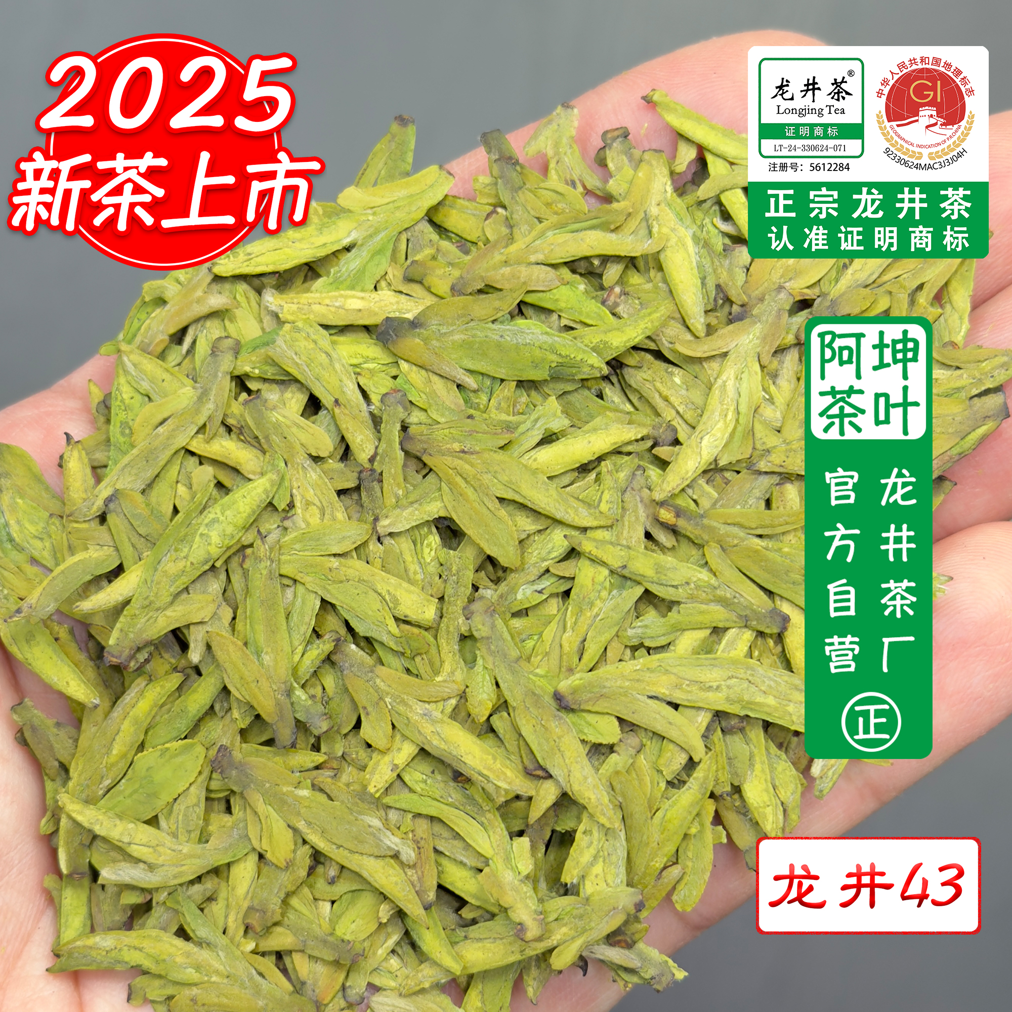 【A79款】2025年龙井43天花板头采大佛龙井茶明前龙井茶核心产区