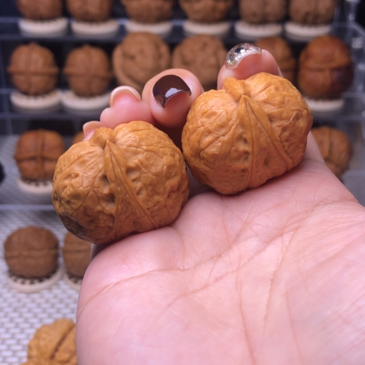 文玩核桃把件113号生命33尺