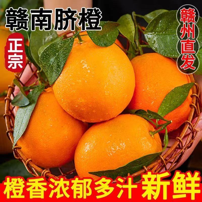 20斤正宗赣南信丰核心产区脐橙直发新鲜香甜精品多汁应季水果