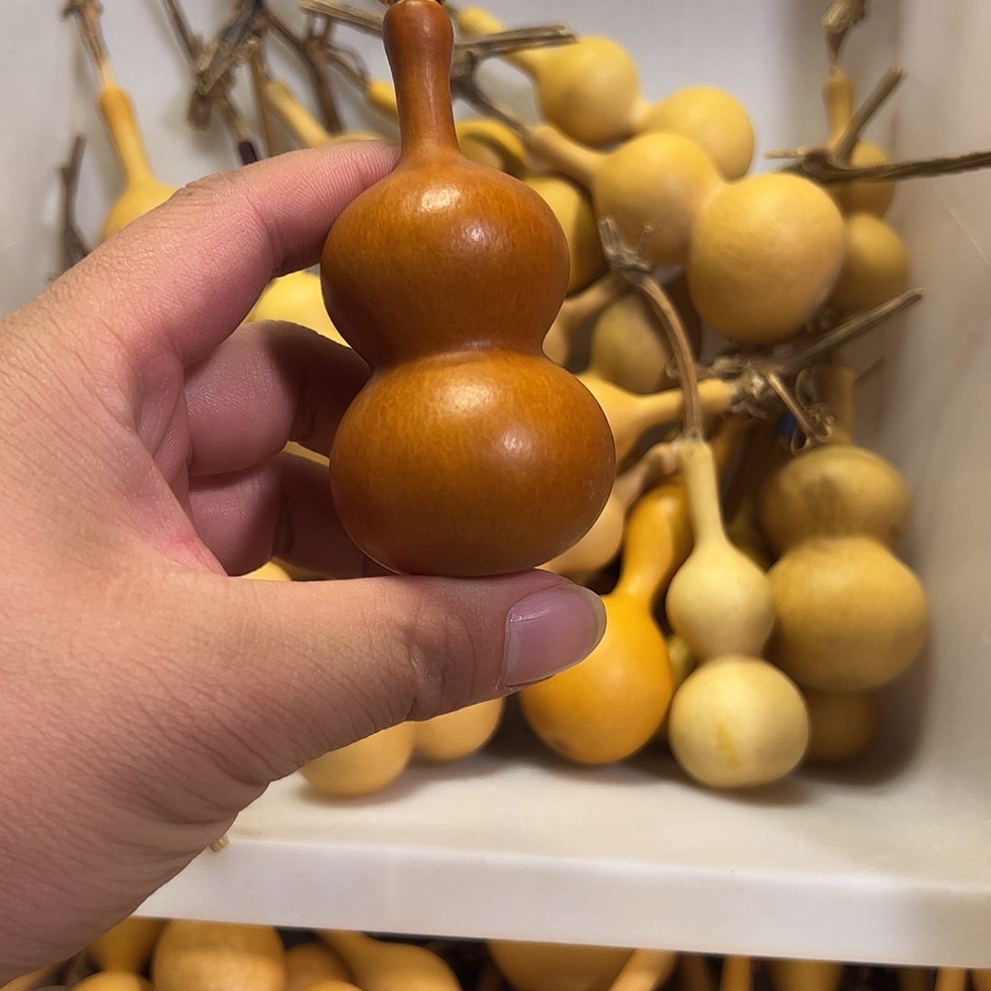 H***T蚂蚁蚂蚁蚂蚁蚂蚁