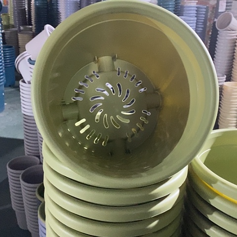 树脂四季3号无托果绿10个