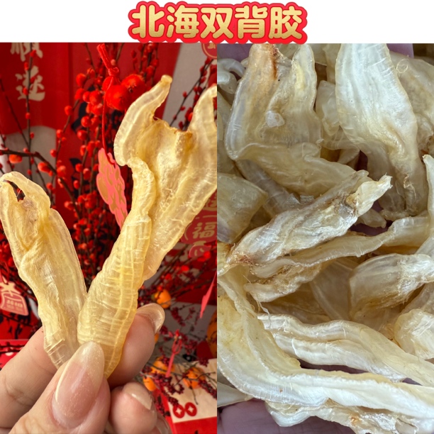 北海双背胶干货月子胶软糯多胶