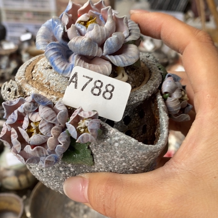 柴烧裸烧源头产地