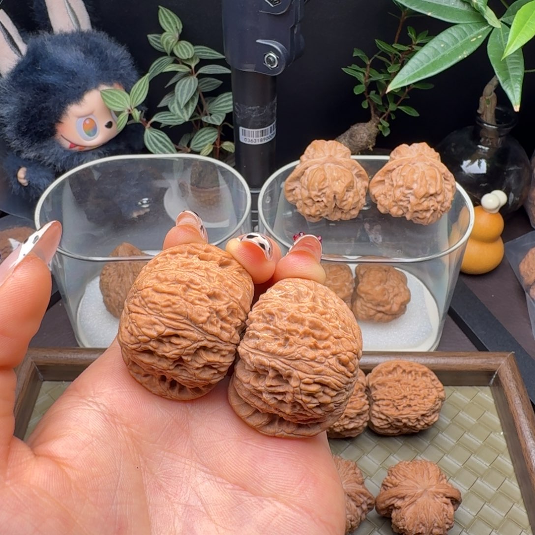 把件龙脊菩提全品泥鳅背40