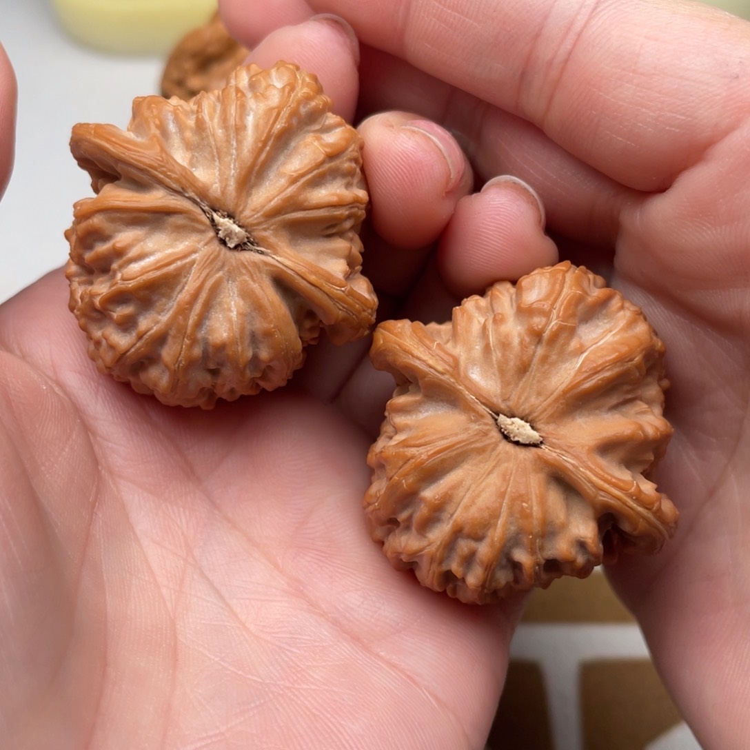 文玩核桃把件适**止白狮子39