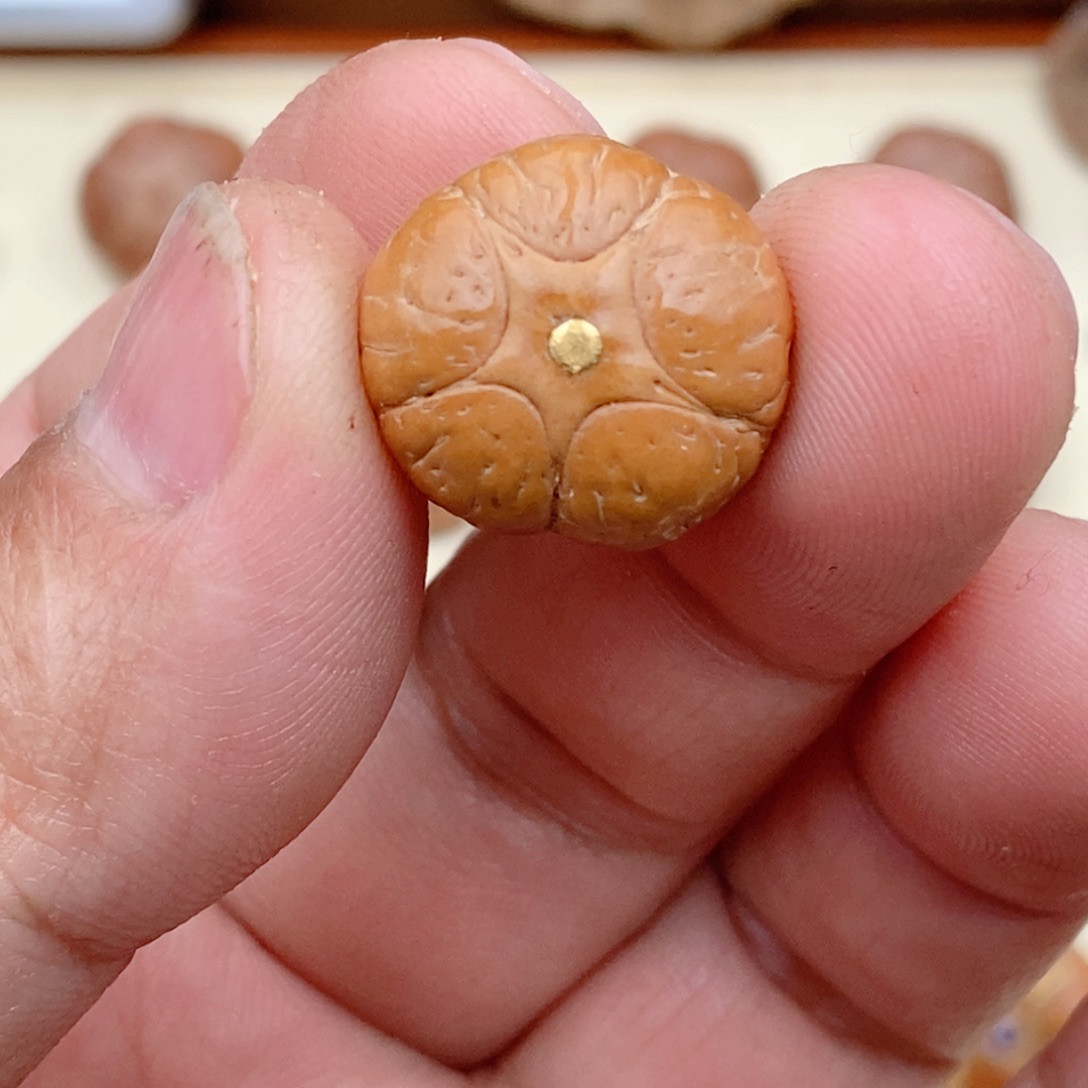 龙眼菩提吊坠五星三通