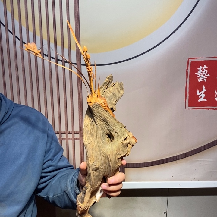 景***具柏木兰花              