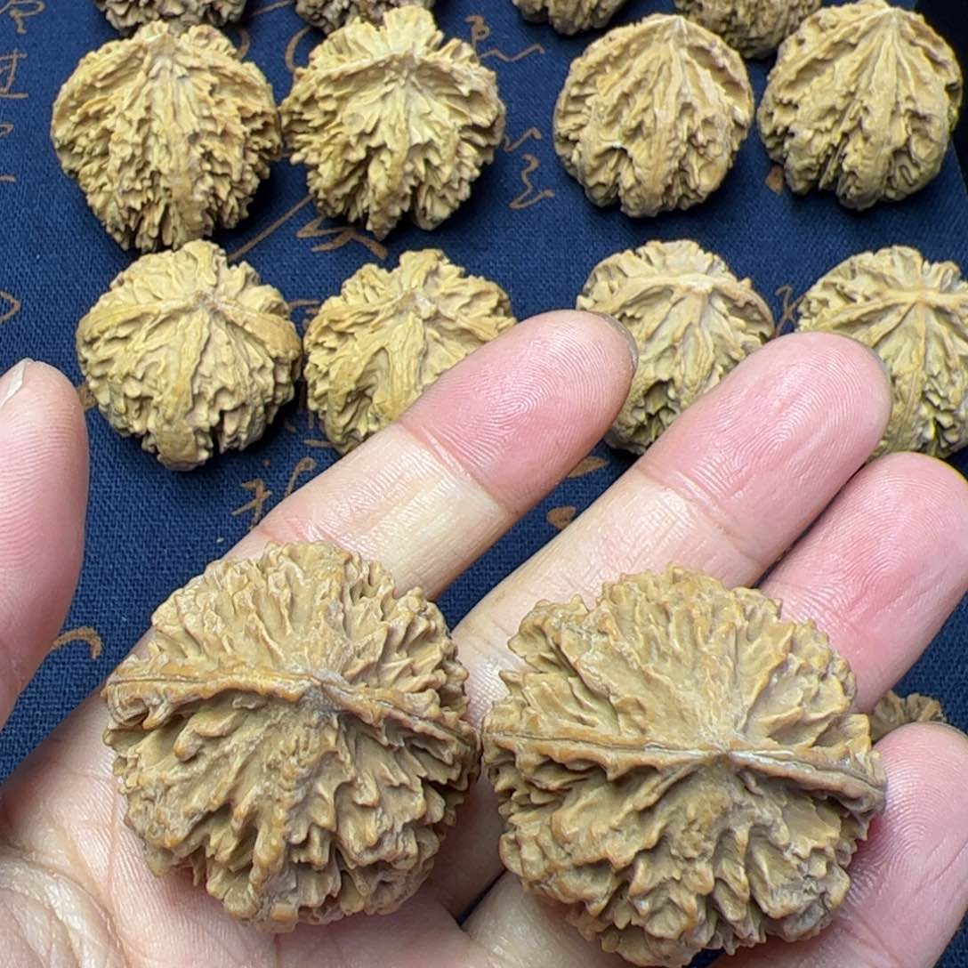 文玩核桃把件秦岭野生植物核桃