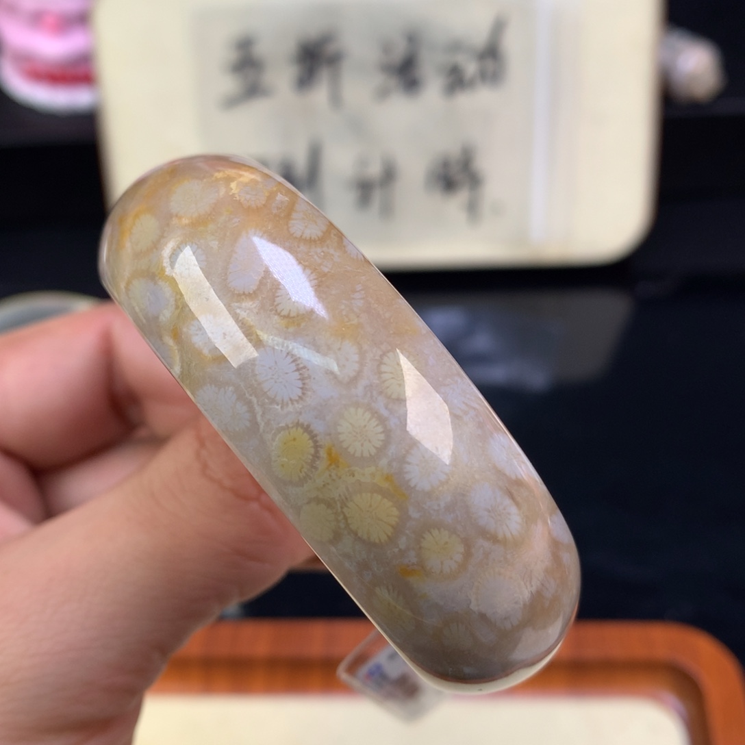 硅化珊瑚（珊瑚玉）未镶嵌颈饰113号豹纹52.5圈