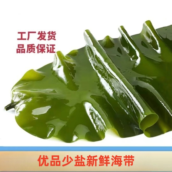 大连高品质少盐新鲜嫩鲜海带5斤/箱（含箱5斤）