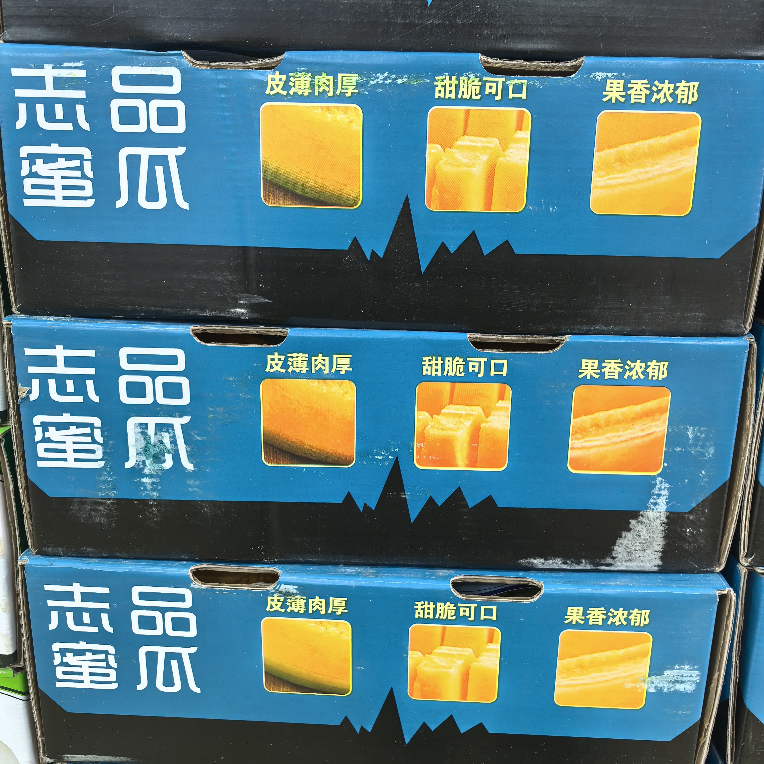 【长春同城】志品网纹瓜 4粒装（带箱12斤）