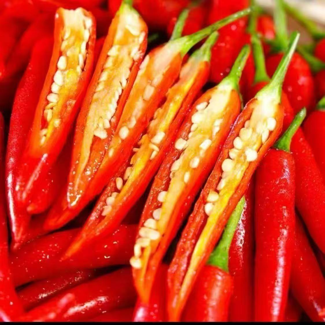 农家新鲜现摘优质高山正宗小米椒 朝天椒 指天椒