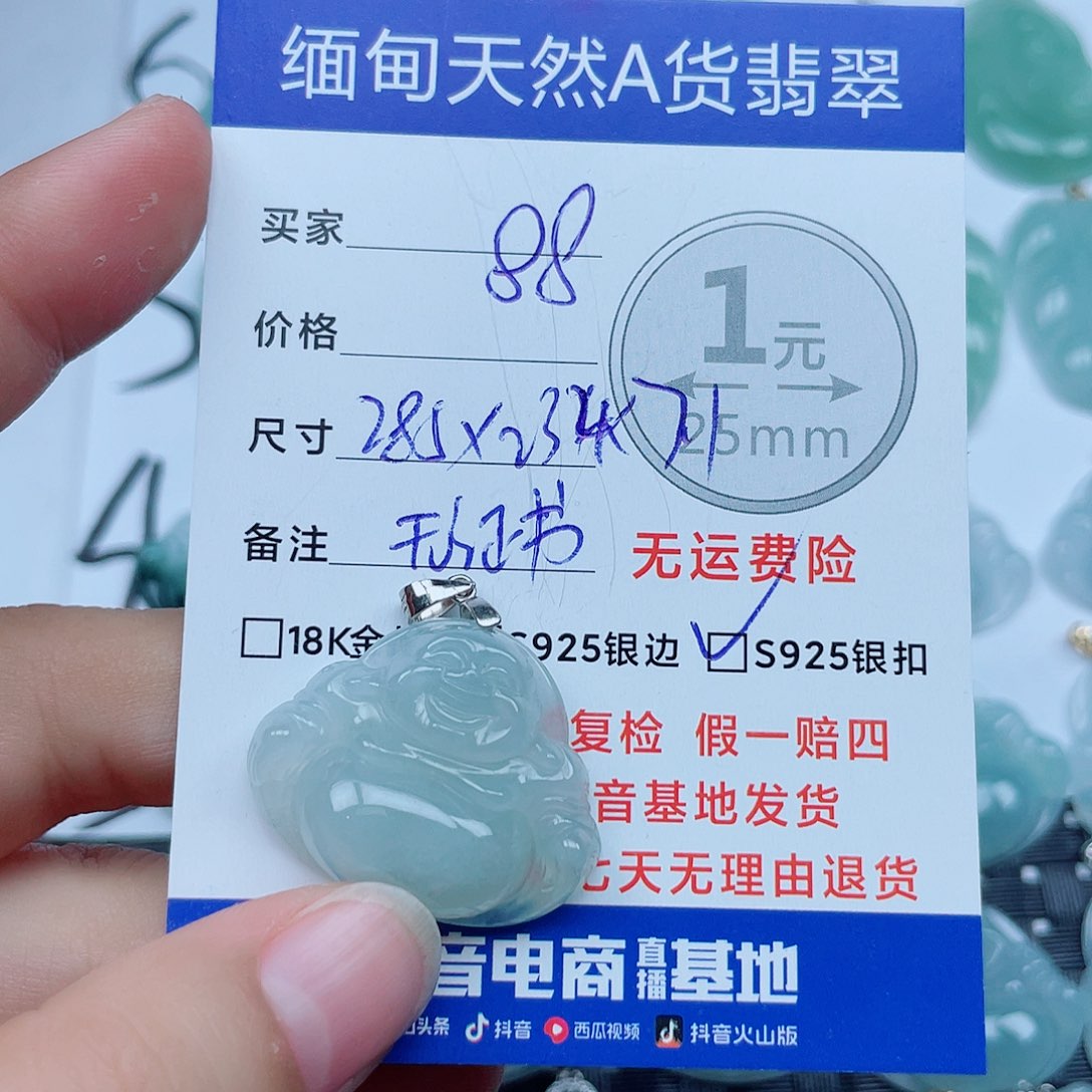 翡翠银S925镶嵌颈饰翡翠