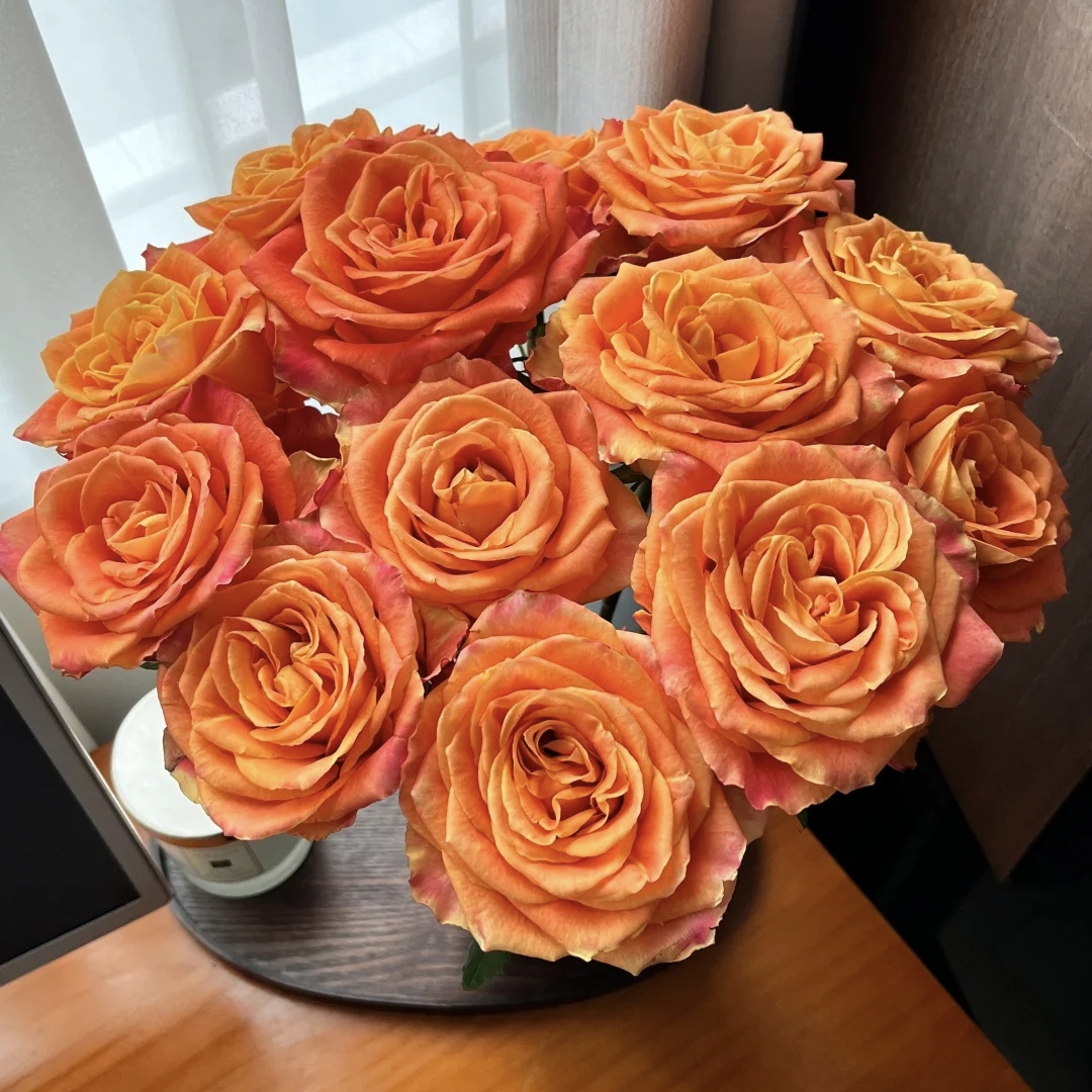 10枝欢乐颂单头玫瑰（两单升级顺丰或者京东）云南鲜花基地直发