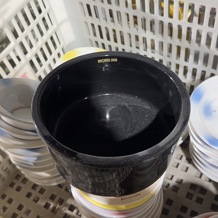 瓷片陶瓷微x链接在o1